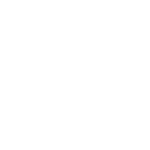Acura logo 2005